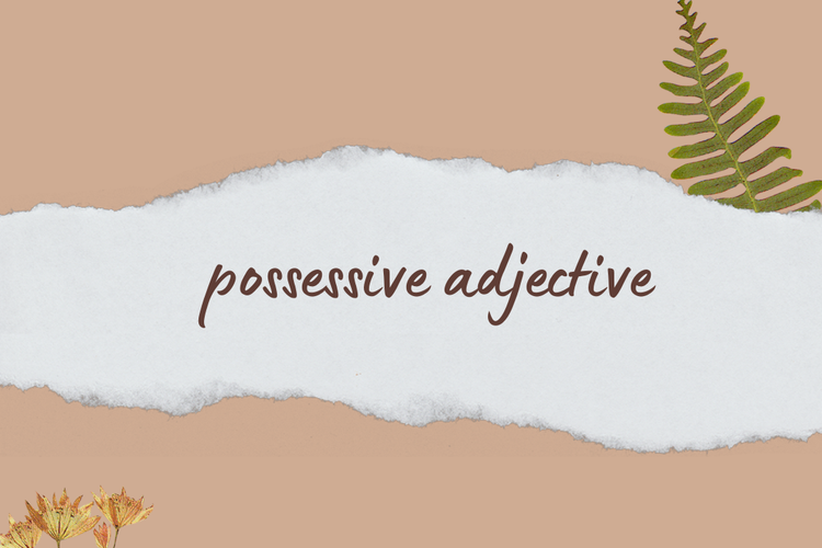 Possessive apa adjective itu Possessive Adjectives