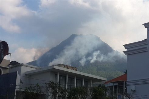 Ini Fakta Baru Kebakaran Hutan Gunung Panderman, Kembali Terbakar hingga Rusak Habitat Elang Jawa