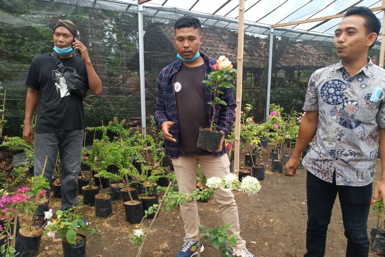 Kelompok Masyarakat Sadar Wisata (Pokdarwis) Desa Tunjungan Kecamatan Ngombol, Kabupaten Purworejo, Jawa Tengah membudidayakan bunga bougenvile.
