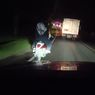 Banyak Motor dengan Lampu Belakang Mati di Lintas Sumatera, Berbahaya