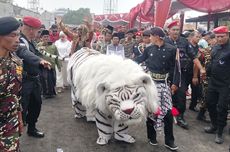 Tika-Benny Mendaftar ke KPU Kendal Hari Terakhir, Dikawal Macan Loreng 