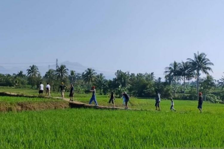 Kabupaten Cianjur, Jawa Barat, merupakan salah satu lumbung padi Jabar, di mana lahan pertanian membentang luas di masing-masing kecamatan. Namun, sejumlah penduduknya masih tergolong warga miskin ekstrem.