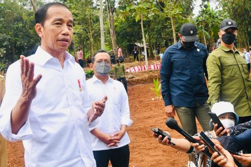 Targetkan 1 Juta Penanaman Kelapa Genjah, Jokowi Minta Segera Siapkan Industrialisasinya