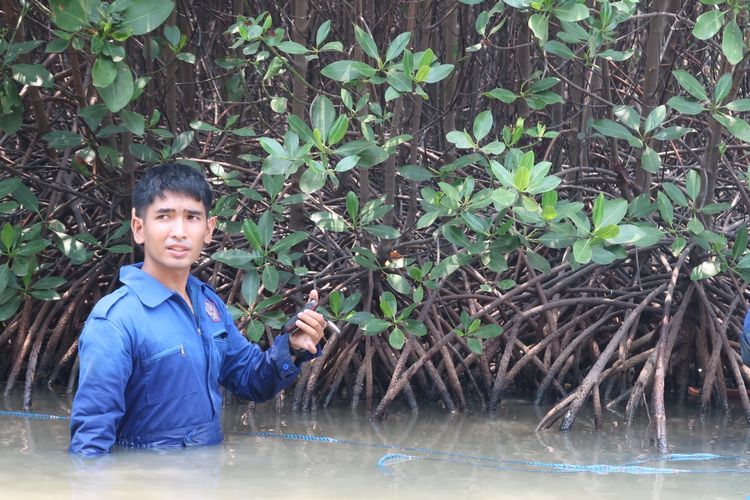 Kementerian KP bersama Politeknik Ahli Usaha Perikanan (AUP) mengevaluasi pertumbuhan mangrove di Banten yang diarahkan untuk mendukung program ekonomi biru.
