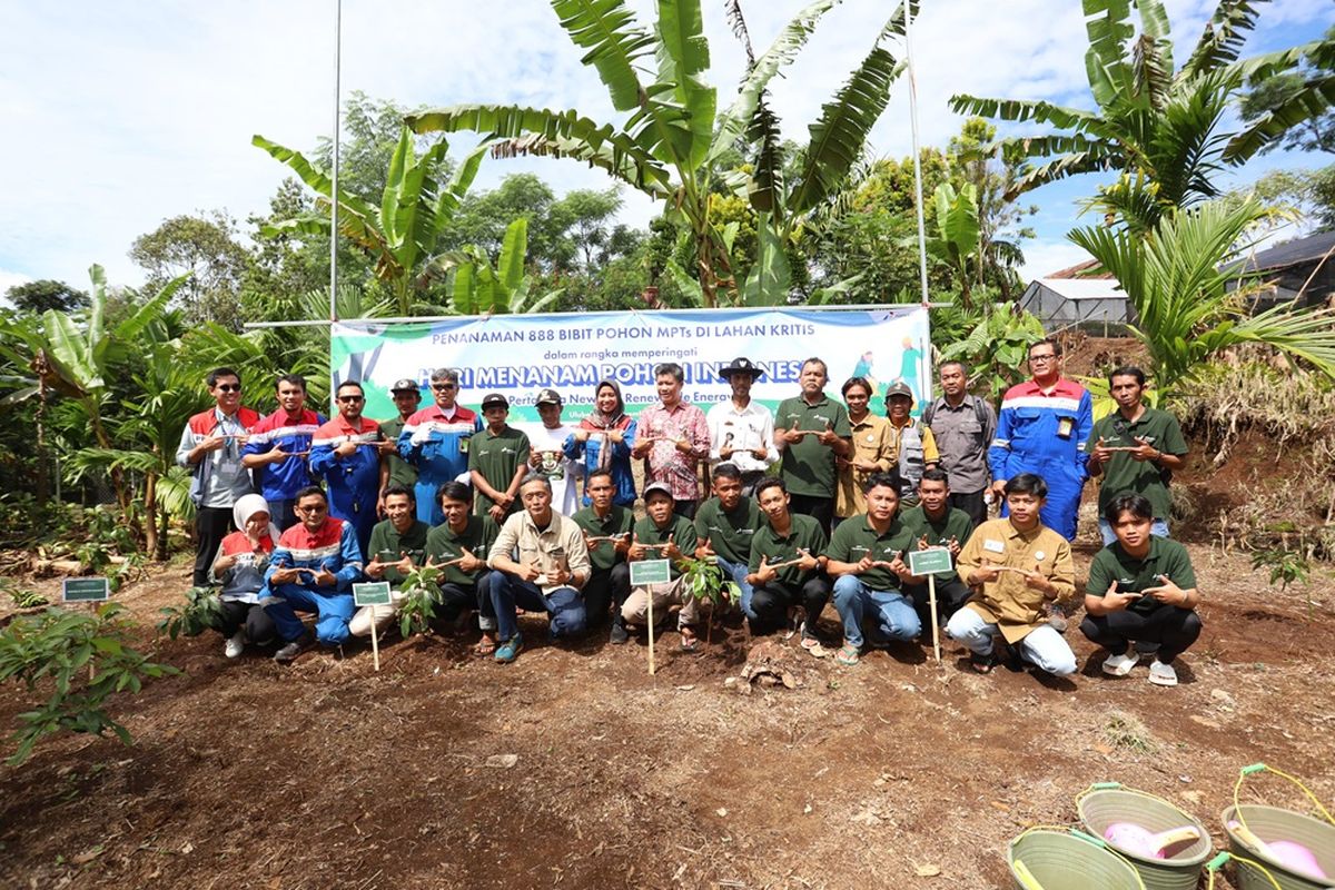 Kegiatan penanaman pohon oleh Pertamina NRE dan Pertamina