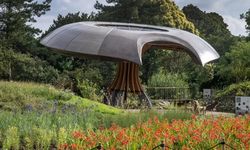 Taman Karbon Akan Dibuka di London untuk Ingatkan soal Krisis Iklim