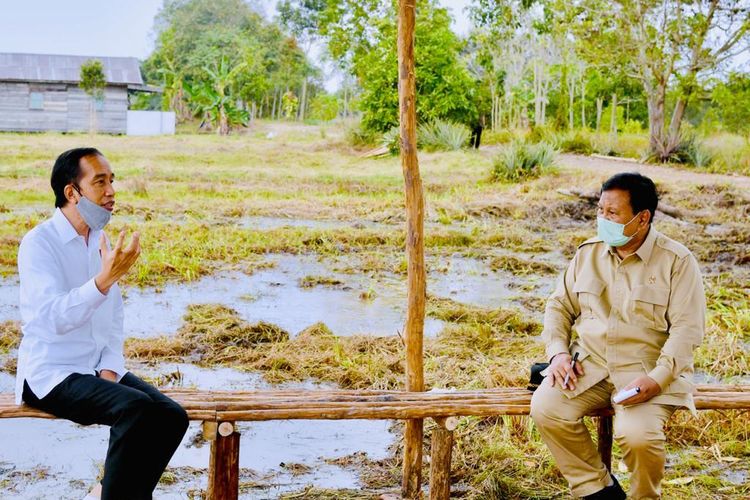 Presiden Joko Widodo meninjau lokasi pengembangan food estate atau lumbung pangan nasional dalam kunjungan kerja ke Provinsi Kalimantan Tengah, Kamis (9/7/2020).  Lokasi yang pertama ditinjau untuk menjadi lumbung pangan baru di luar Pulau Jawa tersebut terletak di Desa Bentuk Jaya, Kecamatan Dadahup, Kabupaten Kapuas.