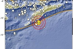 Gempa M 5,0 Guncang Timor Tengah Selatan, Dipicu Tumbukan Lempeng Indo-Australia
