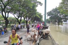 Banjir Bandang Melanda Kudus, 5 Tewas Tenggelam dan Ribuan Jiwa Mengungsi