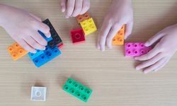 Lego Investasikan Rp 47,3 Miliar untuk Teknologi Serap Karbon