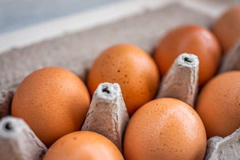Apa Perbedaan Telur Biasa dengan Telur Omega-3?
