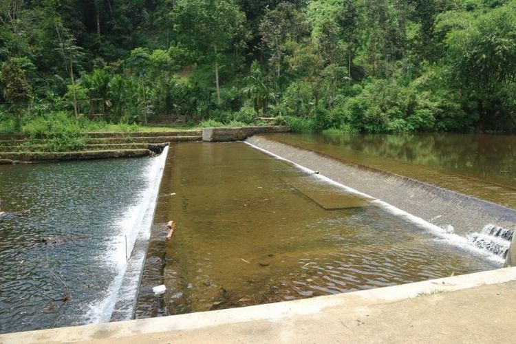 Taman Nasional Kerinci Seblat, Perbatasan Sumatera Barat-Jambi. 