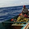 Longboat Mati Mesin di Perairan Pulau Suanggi Maluku, 8 Penumpang Dievakuasi Tim SAR