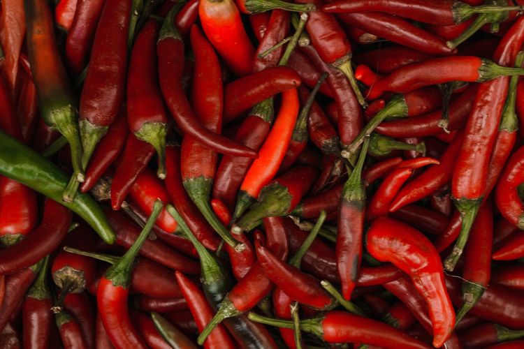 Ilustrasi cabai merah besar