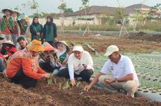 Gunakan Teknologi TSS, Petani Bawang Merah Semarang Hemat Puluhan Juta Rupiah Sekali Panen