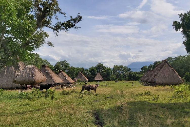 Perkampungan adat Kawa, Desa Labolewa, Kecamatan Aesesa, Kabupaten Nagekeo, NTT menjadi salah satu destinasi perkampungan tradisional yang unik dan ramai dikunjungi wisatawan asing dan Nusantara.