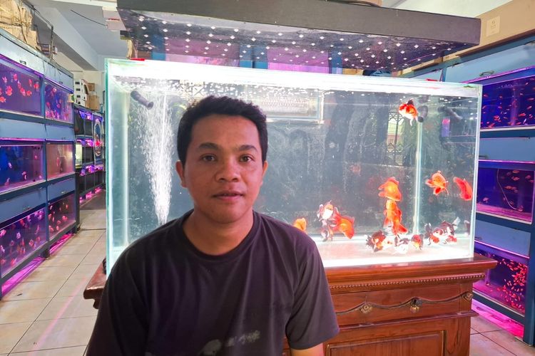 Listrik Padam Bergilir Tak Kunjung Usai, Pengusaha Ikan Hias di Palu Tekor karena Biaya Genset