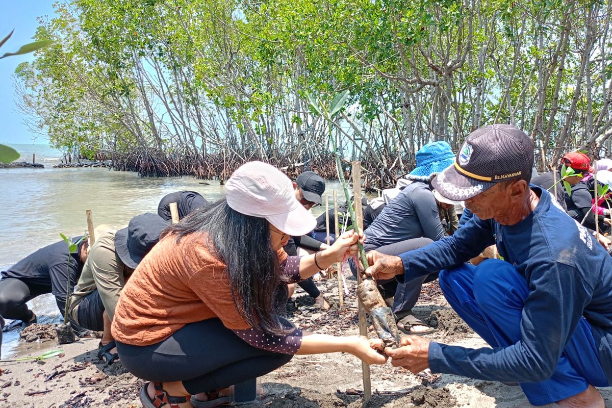 Persiapan menanam mangrove di Pulau Burung, Subang.