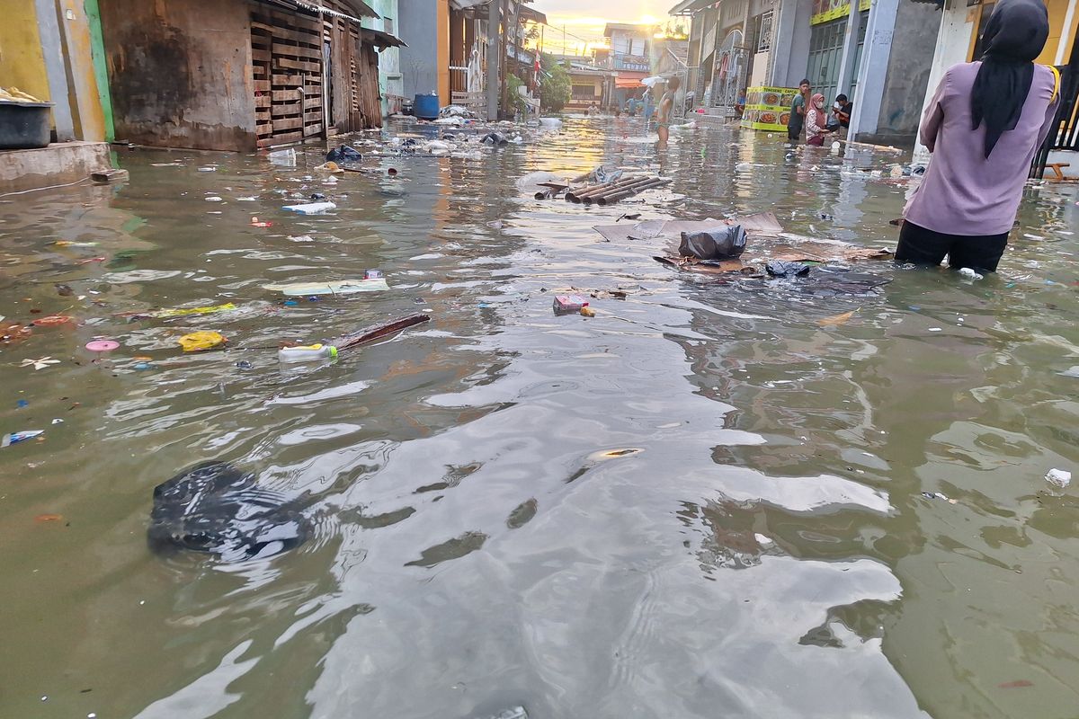 11 Wilayah di Jakarta Utara Berpotensi Terendam Banjir Rob 9-17 Januari 2025