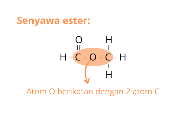 Contoh struktur suatu senyawa ester