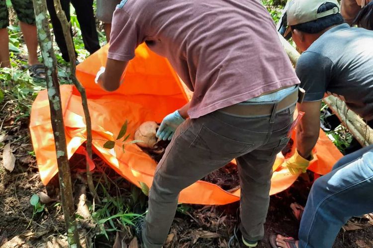 Sosok tengkorak yang ditemukan warga di Kelurahan Cambai Prabumulih Minggu (15/11/2020) dievakuasi petugas ke RSUD Prabumulih.