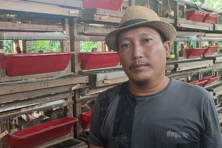 Risgianto, peternak puyuh, Murni Mandiri, Desa Serang, Kecamatan Klangenan, Kabupaten Cirebon, menceritakan terkait, harga pakan yang terus naik menyebabkan harga jual telur puyuh di pasaran yang sangat tinggi, Senin (13/6/2022)