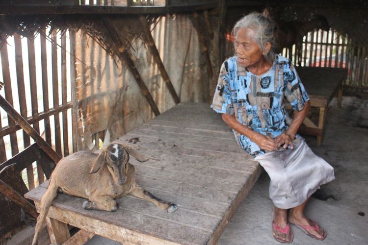 Icih (70), lansia asal Kampung Krajan Pawanda, Desa Medangasem, Kecamatan Jayakerta, Kabupaten Karawang tinggal serumah bersama kambing, Sabtu (7/9/2019).