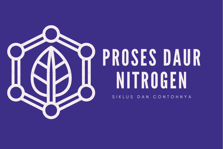 Ilustrasi proses daur nitrogen 