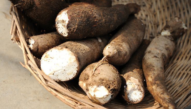 Singkong: Komoditas Strategis yang Terlupakan