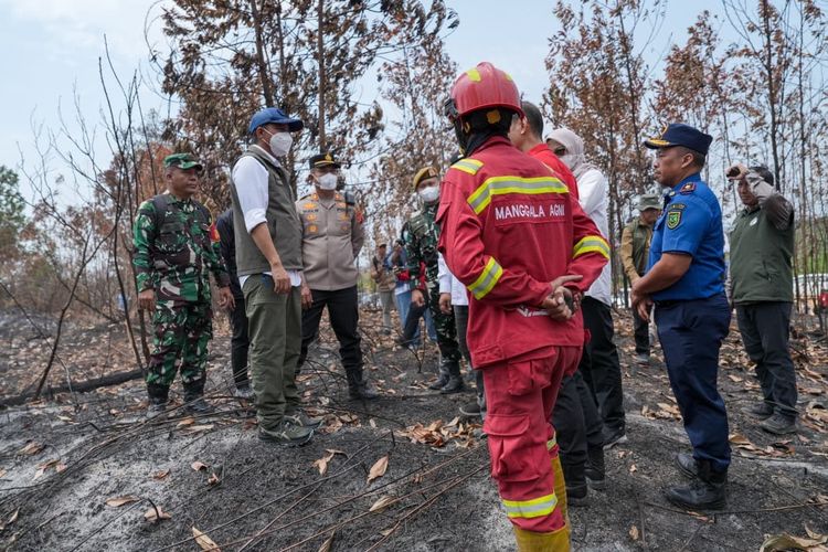Menhut: Cara Efektif Padamkan Karhutla adalah Hujan, Modifikasi Cuaca Perlu
