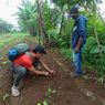 Warga Sukabumi Lihat Jejak Kaki di Kebun, Khawatir Milik Macan Tutul