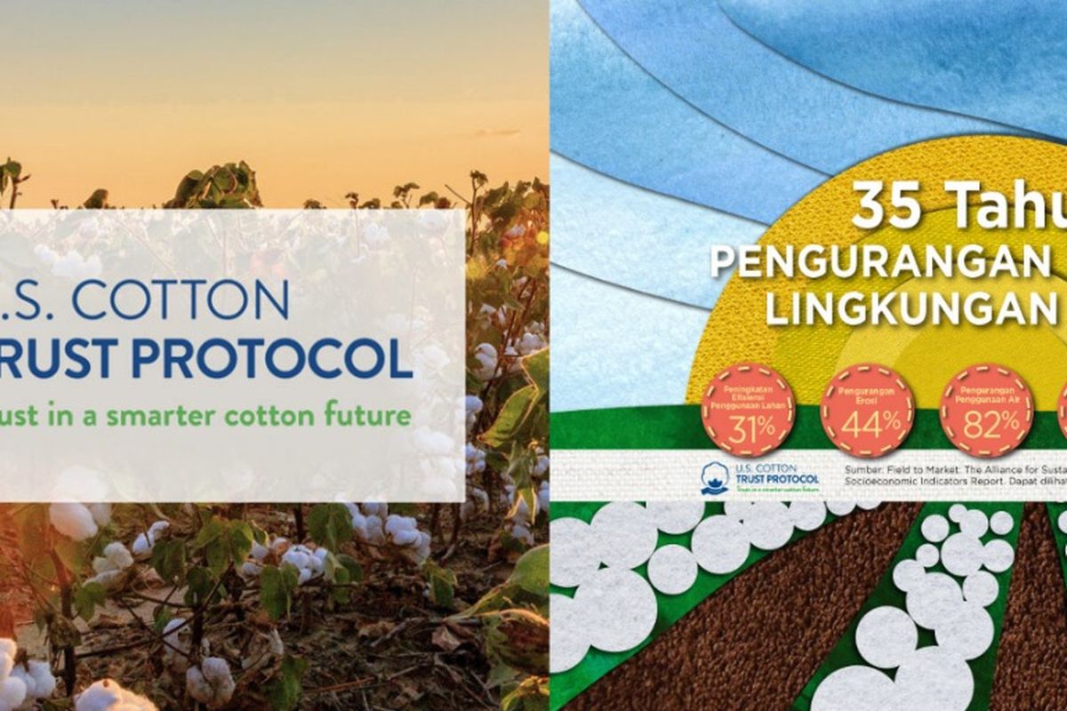 Cotton Council International (CCI) 