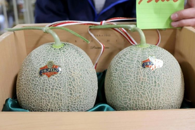 Sepasang melon premium Jepang yang terjual dengan harga jauh lebih rendah dari tahun sebelumnya
