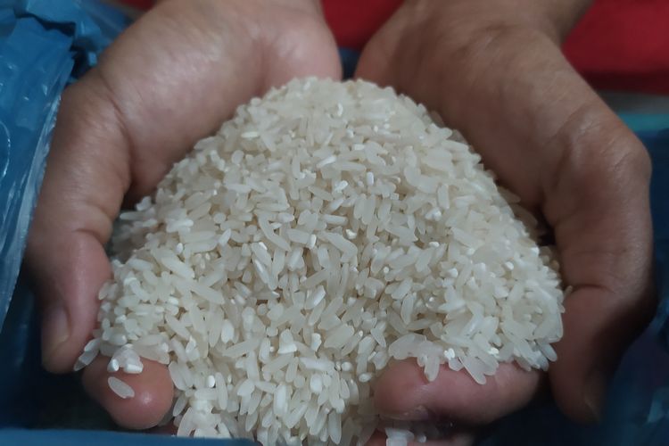Harga beras di Kota Semarang naik menjadi Rp 15.000 per-kilogram 