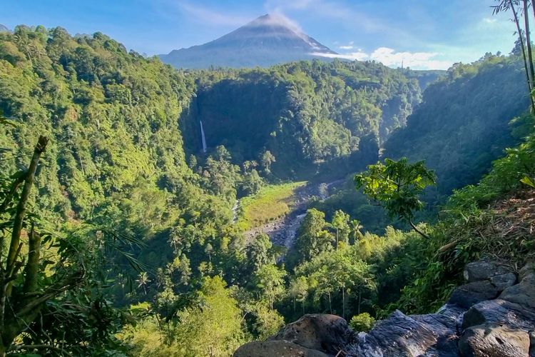 Panorama Kapas Biru, Lumajang.