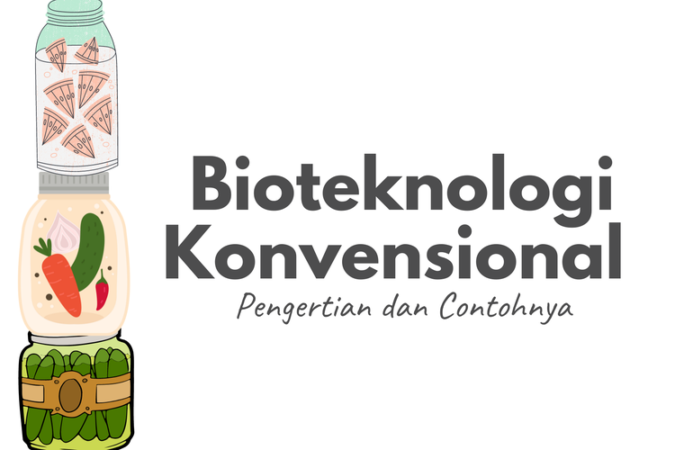 Ilustrasi bioteknologi konvensional