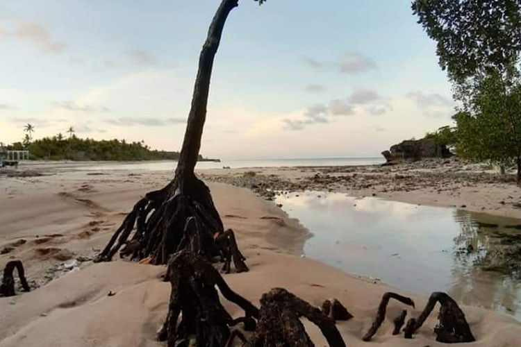 3 Wisata Selain Pantai di Pulau Binongko di Wakatobi, Mandi di Air Gua