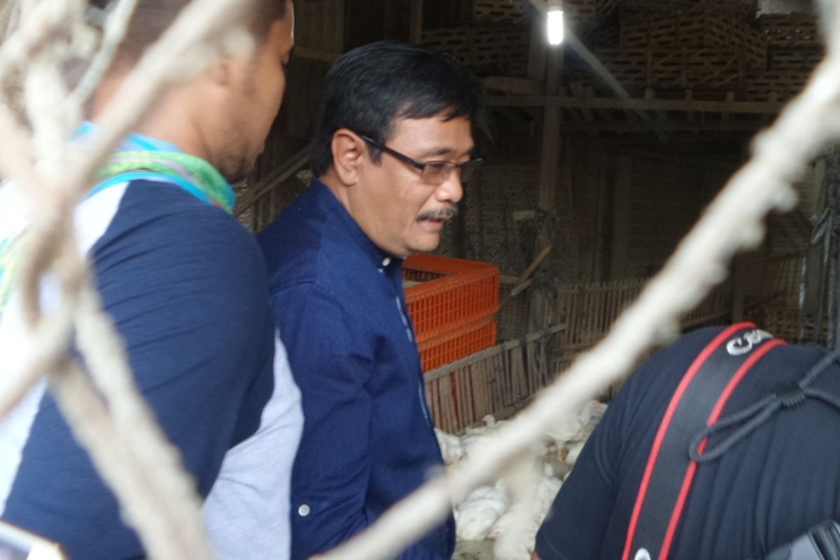 Calon wakil gubernur DKI Jakarta Djarot Saiful Hidayat saat mendatangi peternak ayam di Pulogadung, Jakarta Timur, Kamis (16/3/2017)