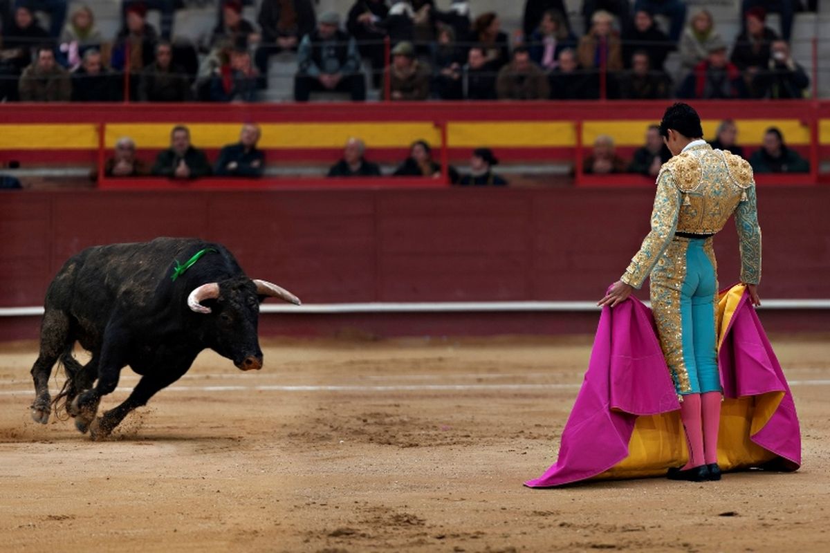 Ilustrasi Matador dalam sebuah adu banteng.