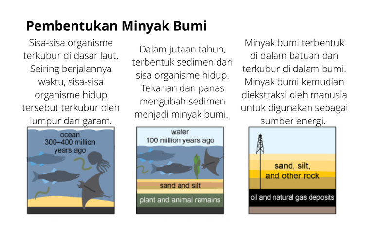 Proses pembentukan minyak bumi