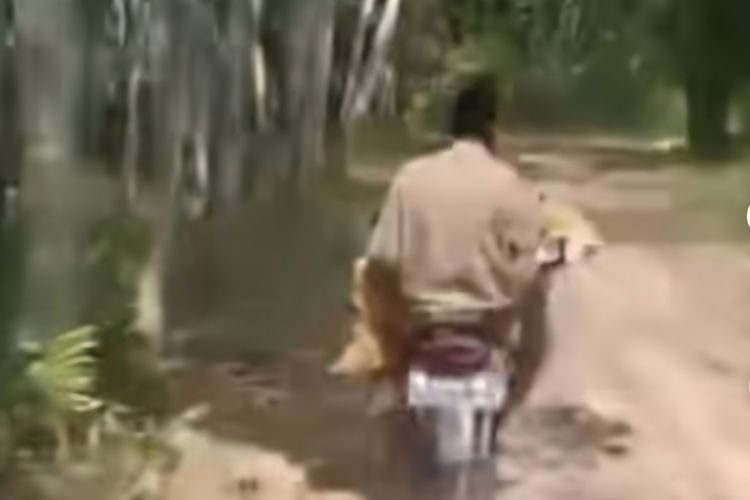 Bocah Meninggal Diangkut Naik Motor karena Jalan Rusak, Warga Pandeglang Soroti Sulitnya Akses Kampung