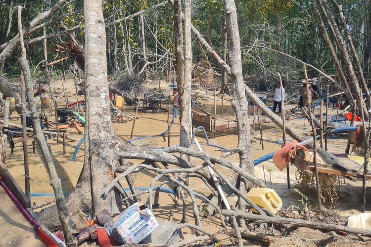 Lokasi tambang di hutan bakau Belo Laut, Mentok, Bangka Barat, Babel yang digerebek petugas, Jumat (17/11/2023).
