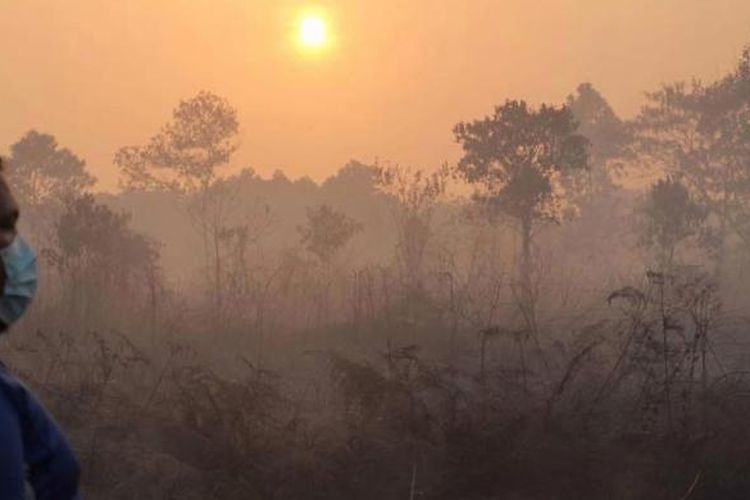 Asap dari kebakaran hutan di Pekanbaru, Riau, 22 Juni 2013. Presiden Susilo Bambang Yudhoyono, atas nama Pemerintah Indonesia, meminta maaf kepada negara-negara yang terkena imbas atas asap Riau.