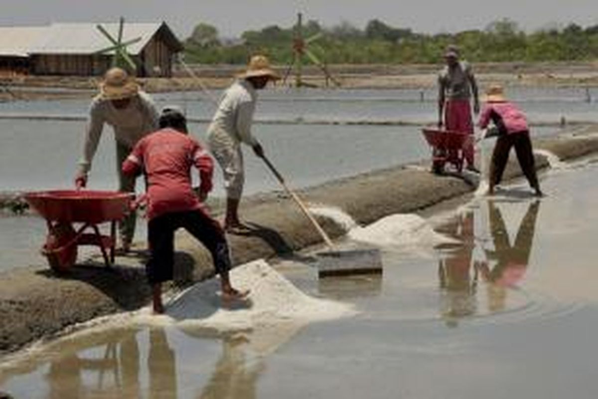 Petani garam di Desa Lembung, Kecamatan Galis, Kabupaten Pamekasan, mulai memanen garam tahap pertama di tahun ini. 