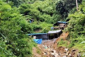 Penggerebekan Tambang Emas Ilegal di Madina: 7 Orang Ditangkap, 14 Ekskavator  Disita     