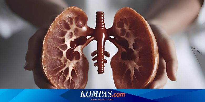 6 Olahraga yang yang Dilarang untuk Penderita Gagal Ginjal
