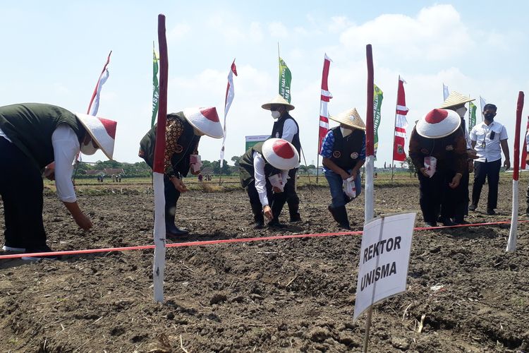 Kepala BNPT, Komjen Pol Boy Rafli Amar bersama Pemerintah Kabupaten Malang dan Rektor Unisme meresmikan KTN dengan menaman jagung.