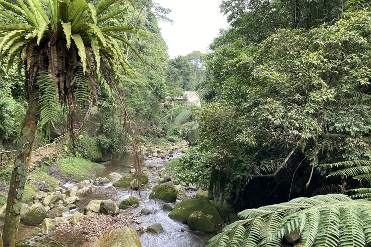 Pemandangan aliran sungai dari Curug Kondang di Kecamatan Pamijahan, Kabupaten Bogor, Selasa (25/5/2021). Pemandangan ini dapat dilihat dari jalur setapak yang menjuntai dari area parkir motor hingga ke titik air terjun.