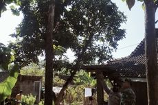Terjatuh dari Pohon Jati Setinggi 5 Meter, Seorang Warga Tewas