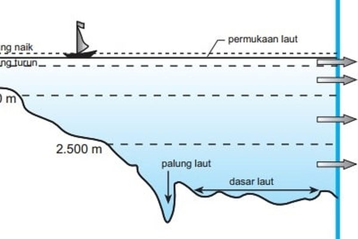 4 Zona Kedalaman Laut Beserta Penjelasannya